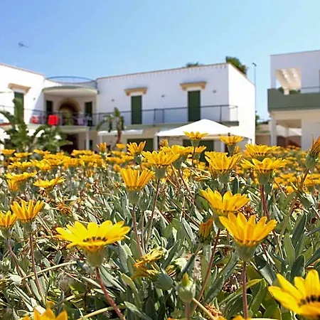 Cala Hotel 4*